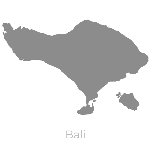 Bali Private Tour Far Odyssey