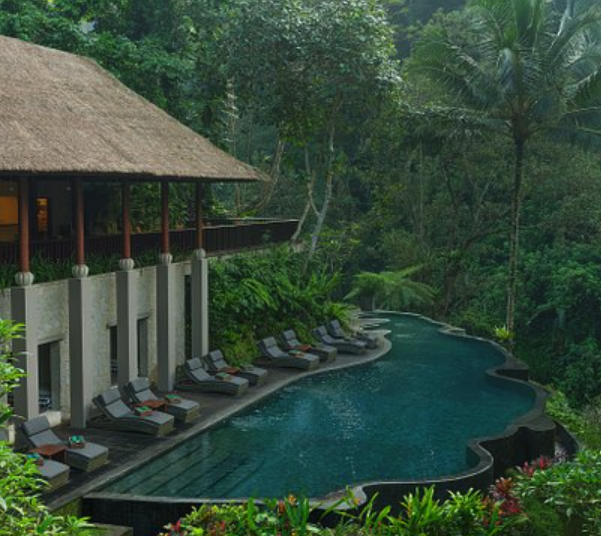 Bali is more than just beaches, want a calming sound of the forest to get a good sleep? contact far odyssey private tour curation to get the best of your accommodation